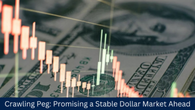 Crawling Peg Promising a Stable Dollar Market Ahead