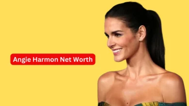 Angie Harmon Net Worth