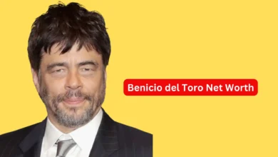 Benicio del Toro Net Worth