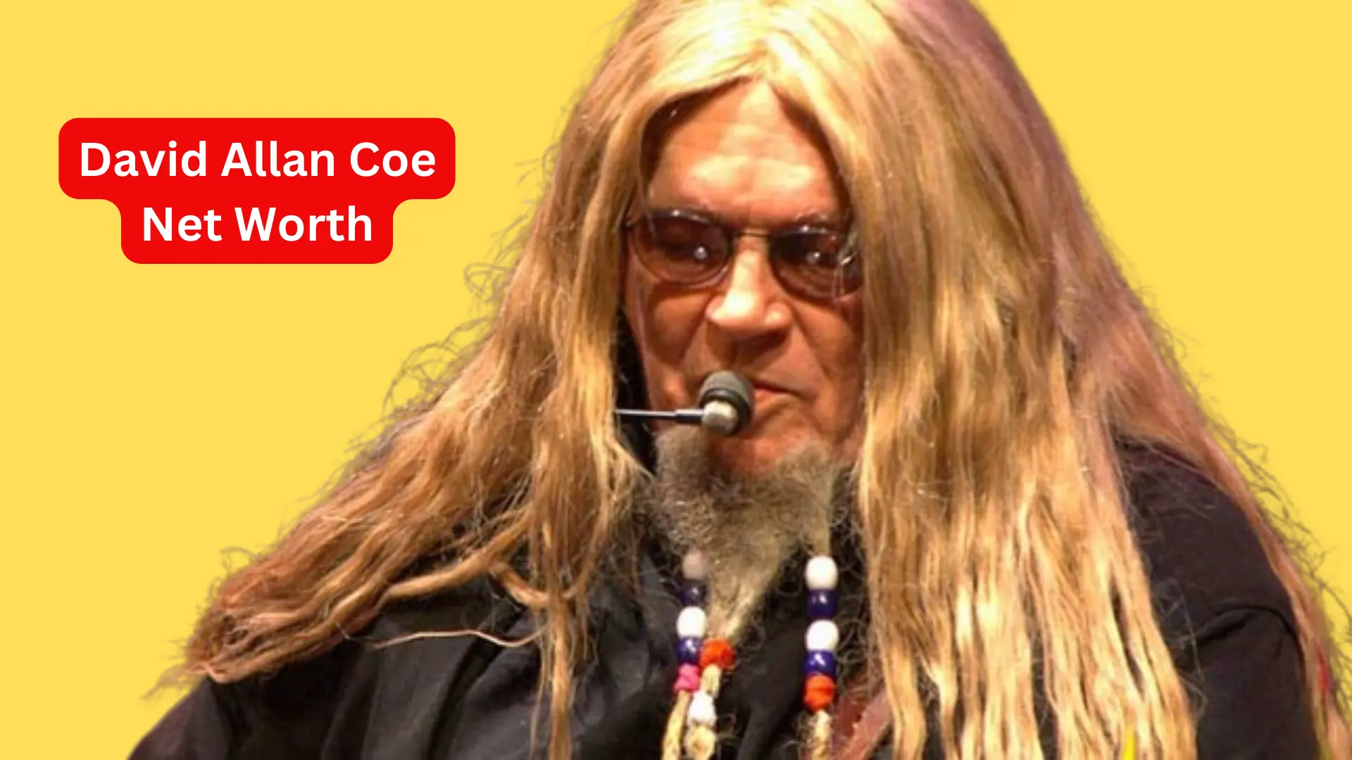 David Allan Coe Net Worth