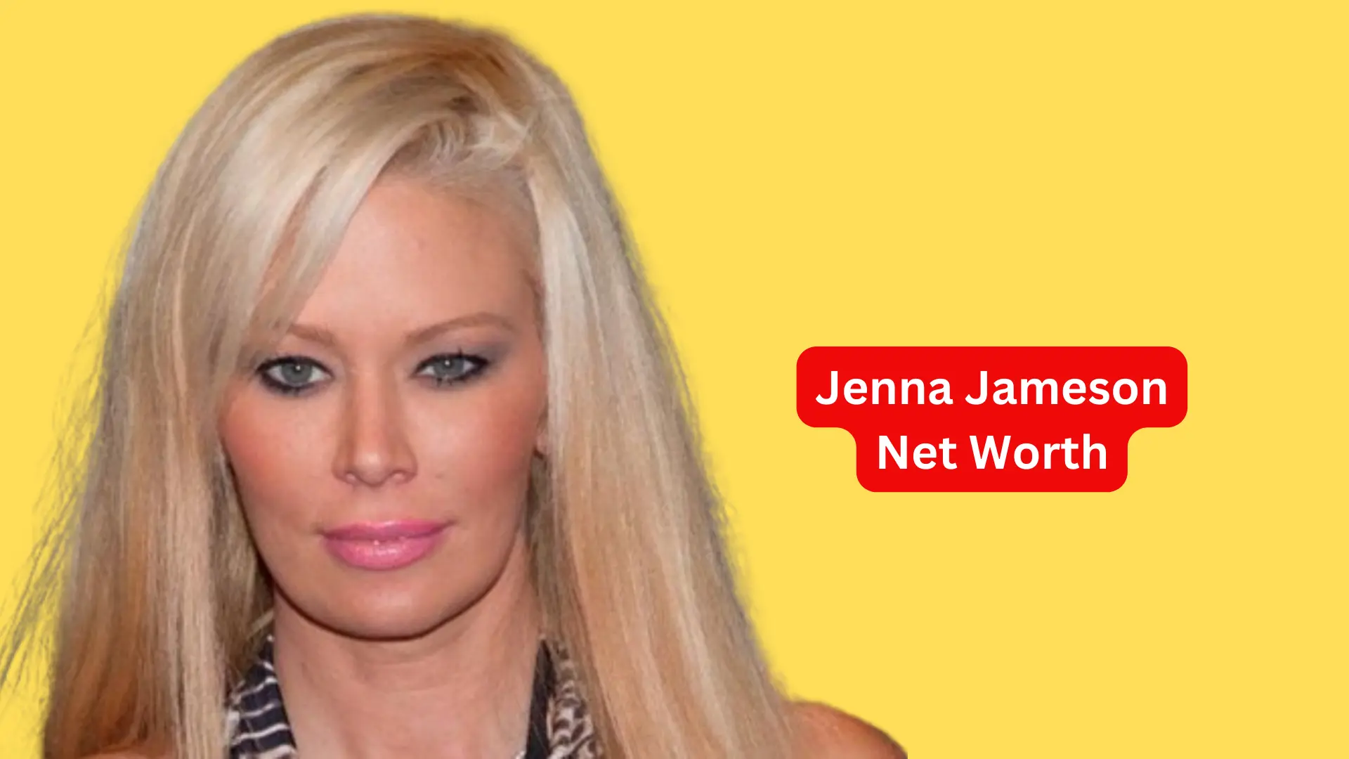 Jenna Jameson Net Worth