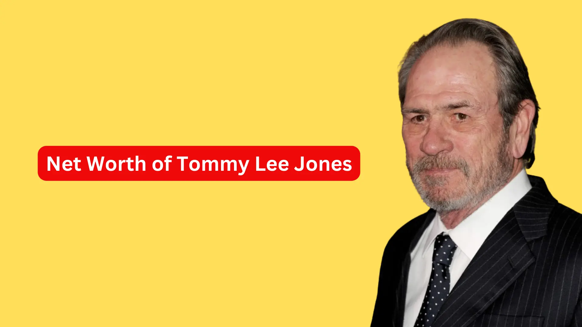 Net Worth of Tommy Lee Jones