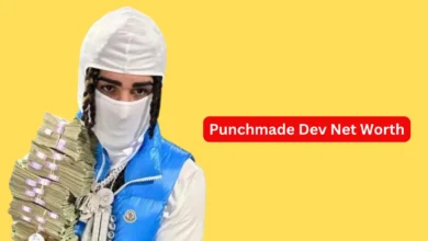 Punchmade Dev Net Worth