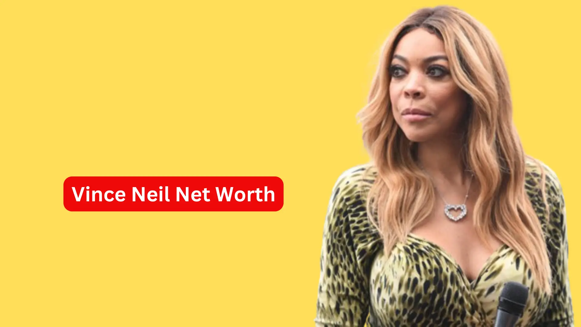 Wells Fargo Wendy Williams Net Worth