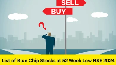 Blue Chip Stocks at 52 Week Low NSE